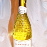 Вино игристое жемчужное белое сухое "Lambrusco Binelli Premium" Dell'Emilia IGT Bianco Secco