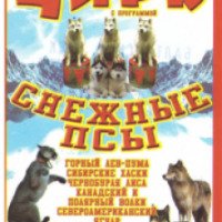 Балтийский цирк с программой "Снежные псы" (Россия, Орехово-Зуево)