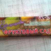 Фруктово-ягодный батончик с витамином С Факел-дизайн "Фруктовый сад"