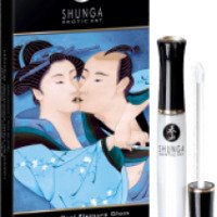 Блеск для губ Shunga Divine Oral Pleasure Gloss