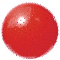 Мяч массажный игольчатый Vega