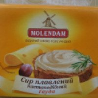 Сыр плавленый пастообразный Molendam Гауда