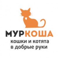 Приют для кошек "Муркоша" (Россия, Москва)