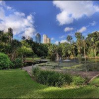 Городской Ботанический Сад Брисбена (Австралия, Брисбен)