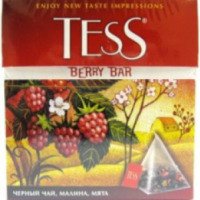 Чай Tess Berry Bar в пирамидках "Малина и мята"