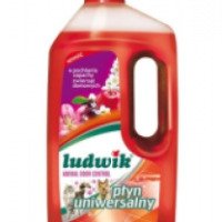 Универсальное чистящее моющее средство Ludwic