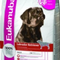 Корм для собак породы лабрадор-ретривер Eukanuba Dog Adult