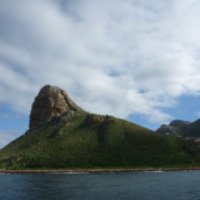 Экскурсии в Cape Town 