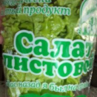 Салат листовой ОАО "Дзержинское"
