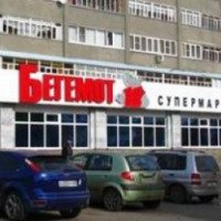 Супермаркет "Бегемот" (Россия, Тамбов)