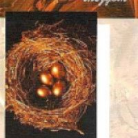 Аудиокнига "Над кукушкиным гнездом" - Кен Кизи