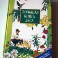 Книга "Большая книга леса" - издательство ОЛМА-ПРЕСС