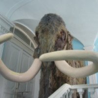 Выставка "Движущиеся гиганты ледникового периода" (Россия, Ульяновск)