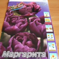 Луковицы тюльпана Colorline "Маргарита"