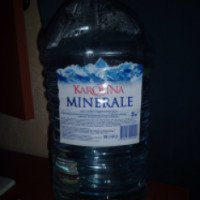 Питьевая вода Черноголовская "Karolina minerale"