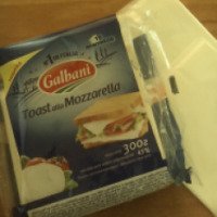 Сыр плавленый Galbani Mozzarella 45%