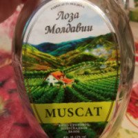 Вино Лоза Молдавии "Мускат"