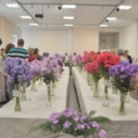 Выставка "Мир Флоксов" в Ботаническом саду БИН РАН (Россия, Санкт-Петербург)