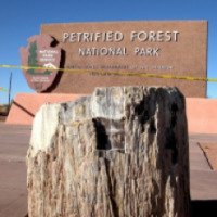 Музей "Окаменелый лес" (США, Аризона)