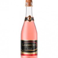 Напиток винный розовый Lambrusco Assol "Северная Венеция"