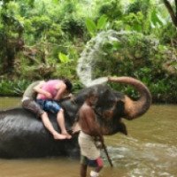 Экскурсия "Катание на слонах с купанием" (Таиланд, Ко Чанг)