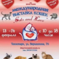 Выставка "Магия кошек" (Россия, Томск)