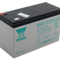 Аккумуляторная батарея Yuasa REW45-12