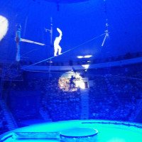 Цирковое шоу "Цирк на воде" (Россия, Иркутск)