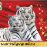 Европейское шоу Lovero "Тайны белых тигров" (Россия, Волгоград)