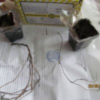 Nature-style.ru - интернет-магазин "Природный стиль"