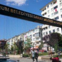 Экскурсия по городу Чорум (Турция)