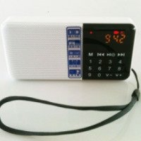 Портативный радиоприемник/MP3 плеер Hi-Rice SD-111