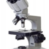 Диагностика здоровья по капле крови через темнопольный микроскоп