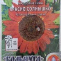 Семена подсолнечника Кольчуга "Красно солнышко"