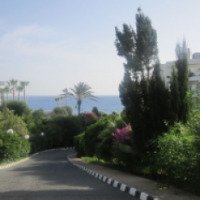 Отель Grecian Sands Hotel 4* (Кипр, Айя-Напа)