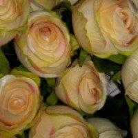 Искусственные цветы роза Paula "Розы"