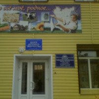 Центр детского творчества (Россия, Татарск)