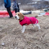 Теплая куртка-попона для собак Hurtta Ultimate Warmer