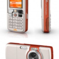 Сотовый телефон Sony Ericsson W800i