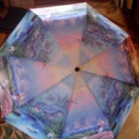 Зонт женский Zemsa