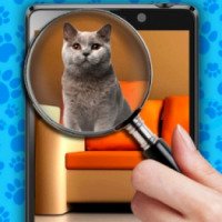 Найди кота на фото - игра для Android