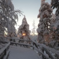 Отдых в Лапландии (Финляндия)