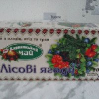 Карпатский чай Экопродукт "Лесные ягоды"