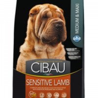 Корм для собак Farmina Cibau Sensitive Lamb Medium & Maxi