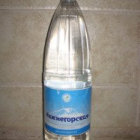 Вода питьевая негазированная артезианская Нижнегорская