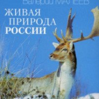 Книга "Живая природа России" - Валерий Малеев
