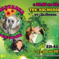 Выставка обезьян в ТРК "Космопорт" (Россия, Самара)