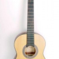Классическая гитара Parkwood PC75