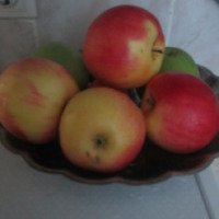 Яблоки Магнит "Свежий урожай"