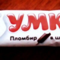 Пломбир в шоколаде Славица "Умка"